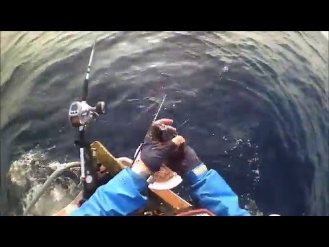 真鯛釣り コマセマダイ