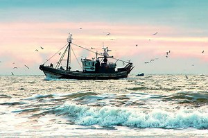 45 US Fish Stocks Rebuilt Since 2000 | Commercial Fishing