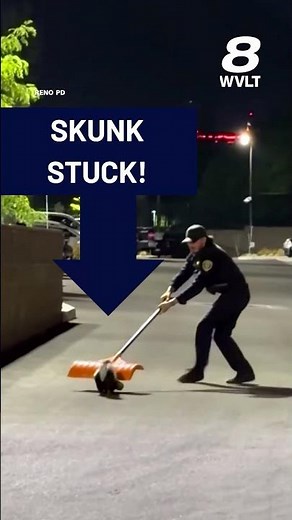 Officer Carefully Frees Skunk With Head Stuck in Jar