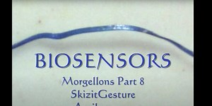 BIOSENSING TECHNOLOGY 2011