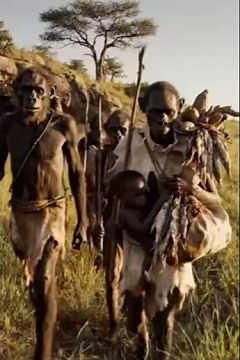 Life Millions Years Ago Survival in the Wild The Diet of Early Humans #prehistoriclife