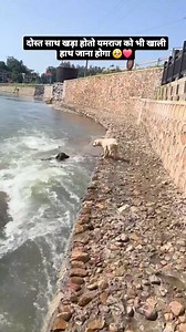 785K views · 19K reactions | Blouse Designs on Reels | Facebook