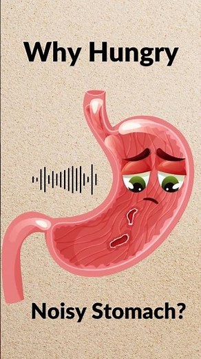 Why Does Your Stomach Growl When You’re Hungry? (The Weird Science Explained!)