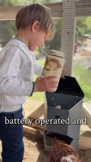 This Chicken Run Feeder saved my life!