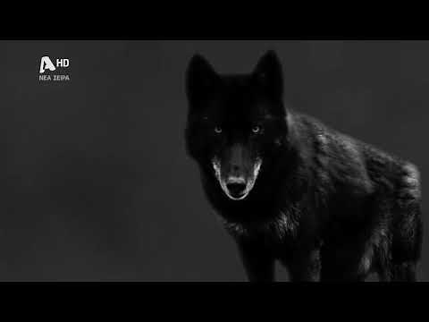 Ο Τιμωρός | Έρχεται στον Alpha