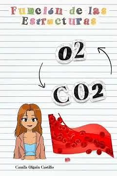 Funcionamiento del aparato respiratorio