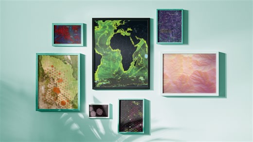 What's new in ArcGIS StoryMaps (November 2025)