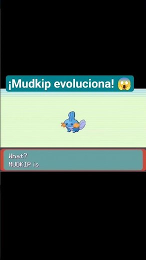¡Mudkip evoluciona! 😱 | Pokémon Emerald