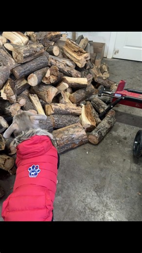 Enjoy the weekend everyone !! 😊 🐾 ❤️ thanks for the ❤️ we love you all be 😇 #love#peace#selflove#healthy#genx