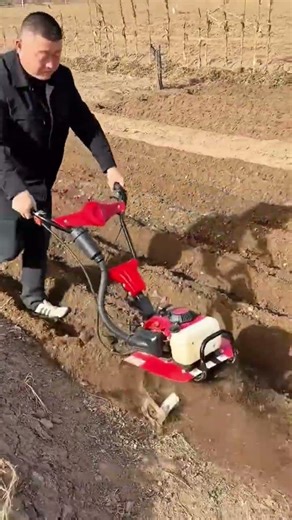 operating a red mechanical tiller machine to plow dry brown soil and prepare garden for planting