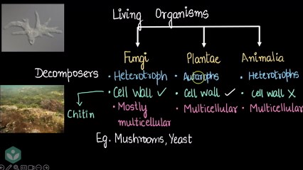 Estimating when adding multi-digit numbers