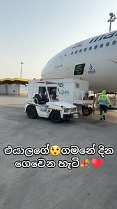 39K views · 373 reactions | කොහොමද බලන්නකෝ❤️ AirTickets To Sri Lanka #AirticketsToSrilanka #fypシ゚ #foryoupageシ #reelsfbシ #reelsvideoシ #reelsviralシ #fypシ゚viralシ #fypシ゚viralシfypシ゚viralシalシ #fypシ゚viralシfypシ゚ #fypviralシ #fypシ゚viralシ2024fyp #reelsfacebook #FacebookPage #facebookreel #facebookviral #highlight #viralvideoシ #shortsvideos #shortsreels | AirTickets To Sri Lanka | Facebook