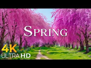 Spring 4K 🌸 Fresh Nature, Blooming Landscapes & Cinematic Relaxation UHD