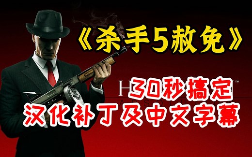 【安装教程】30秒搞定《杀手5：赦免（Hitman：Absolution）》汉化补丁下载及中文字幕设置方法