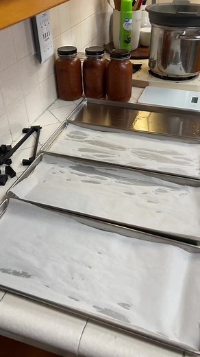 103K views · 2K reactions | #preptok #prepper #homesteader #fypシ #homestead #prepare #beprepared #selfreliance #stockyourshelves #DIY #howto #selfreliance #homesteader #homemade #homesteadlife #prepper #beprepared #homesteadingskills #fromscratchcooking #farmlife #urbanfarm #garden #gardening #prepare #growyourownfood #fallgarden #plants #realfood #howto #purposefulliving #homesteadingmama #preservation #canning #dehydrate #diy | Farmer K Homestead | Facebook