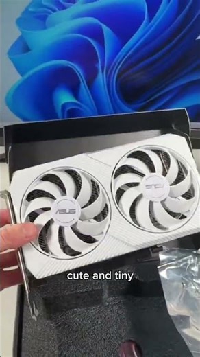 Buying a Black Graphics Card for a White PC?!