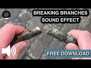 Breaking Branches Sound Effect