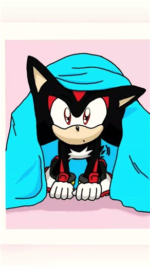 a baby shadow the hedgehog production a part of GO network