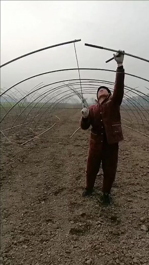 Exploring Agricultural Structures: Inside a Greenhouse