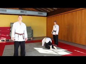 Freier Fall Tutorial [german]