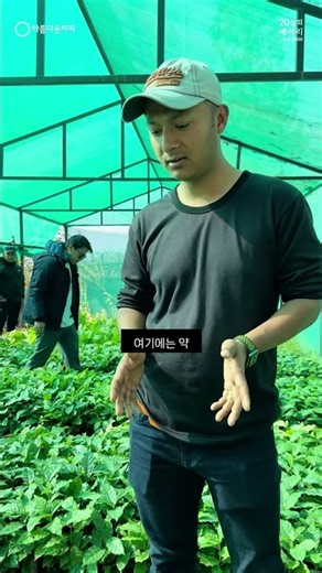 커피 묘목 한 그루에서 우리에게 오기까지