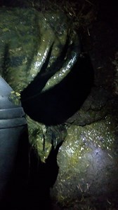 Century 4000 chest waders in slurry