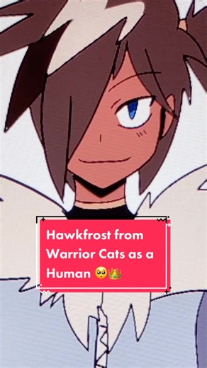 Hawkfrost: Digital Illustration of Warrior Cats Character