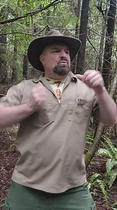 81K views · 3.8K reactions | The video starts with a dance and then...