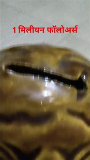 1 मिलीयन फॉलोअर्स🌞🌞🚩🚩🙏🙏