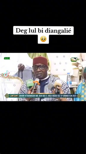 Vidéos de Momo chicory (@momo.chicory) avec son original - Momo chicory