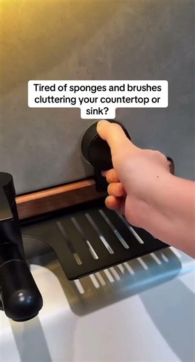 Tired of sponges and brushes cluttering your countertop or sink?