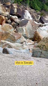 112K views · 2.3K reactions | Meet Tawaki aka the fiordland crested Penguin  #adventure #penguin #sea #vocation #winter #newzealand #nz #fiordland All Blacks nzherald.co.nz Auckland Rugby Sky Tower  credit- austinsills | New Zealand Nature Life | Facebook