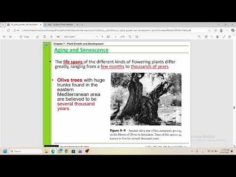 ch5 2 plant production