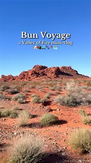 Exploring Valley of Fire State Park: A Mini Vlog
