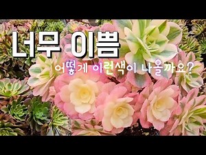 (1월 10일)3일중 마지막 세일 입니다