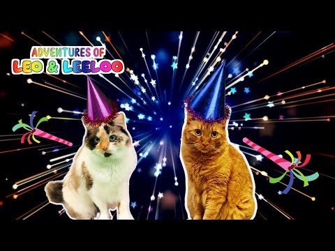 Best of Leo and Leeloo 2024