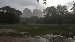 31K views · 1.2K reactions | RAIN UP NORTH Red Rock Crossing is still beautiful in a storm ☔ Video: Tony Sandoval (@toekneefoot on Instagram) New River and Black Canyon City also got slammed with rain today | 12News | Facebook