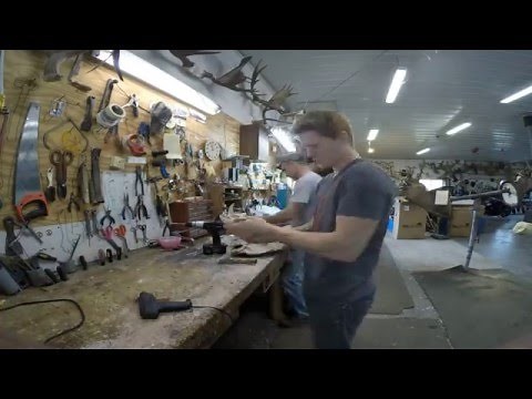 Mounting A Wild Boar (Time-lapse)