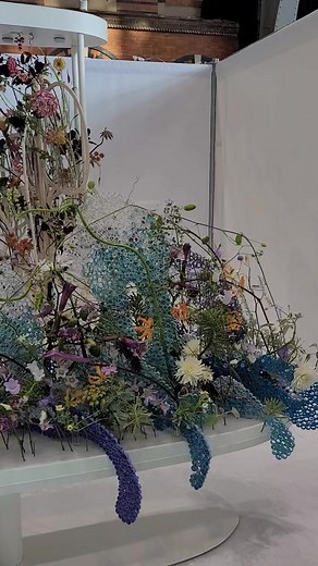 The Florist on Reels
