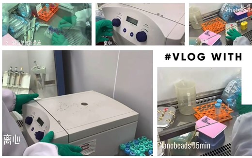 小鼠T细胞分选操作全过程（MojoSort CD3 T阴选试剂盒）