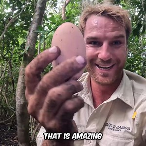 117K views · 2K reactions | Can I Survive Alone In The Jungle?  | Back 2 Basics Adventures | Facebook