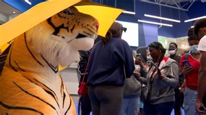 First 'Arlington Showdown' Offers More Than Football