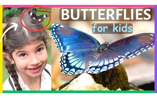 BUTTERFLIES FOR KIDS ｜ The lifecycle of a butterfly ｜ 10 butterfly facts for kid