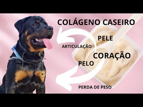 How to make natural collagen for your dog.