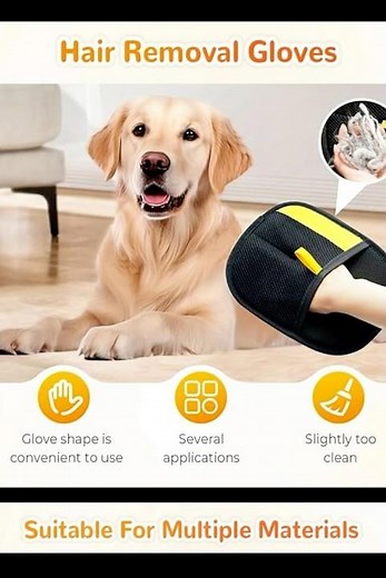 Sick of pet hair covering everything? Watch this! Pet Hair Gone in Seconds!