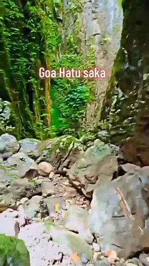 Goa Hatusaka adalah gua vertikal terdalam di Indonesia, terletak di Taman Nasional Manusela, Pulau Seram, Kabupaten Maluku Tengah, Provinsi Maluku. Gua ini memiliki kedalaman sekitar 424 meter dan dikenal juga sebagai "Gunung Pusaka" atau "Gunung Pemenang" oleh masyarakat setempat. #Sorotan #fyp #semuaOrang #GoaHatusaka #TamanNasionalManusela #MalukuTengah #Maluku #Viral #Reel | Ongky Latusuay
