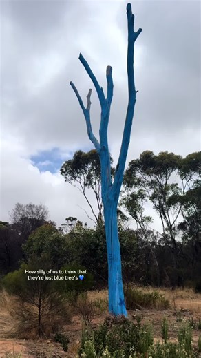 Aus showing there’s meaning in everything