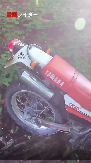 バイク女子初めての倒木超え（いきなりラスボス）