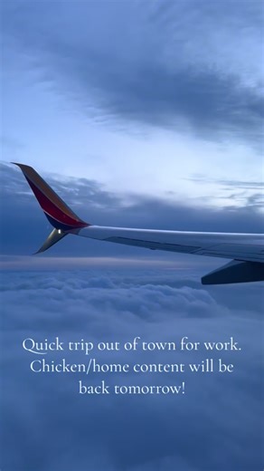 Flew to Tampa to make a purchase for work and I’m currently on the road home. Should be a productive week around the house when I return though! ##work #southwestairlines #clouds #homestead #chickens #pfeffer #pfefferpfarm
