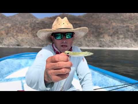 Roosterfish 101 // Tips, Flies, and Gear for Roosterfish